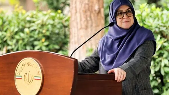 امیدواریم واگذاری ایران خودرو با صحت و سلامتی طی شود/ مذاکره با زبان زور، نامش مذاکره نیست