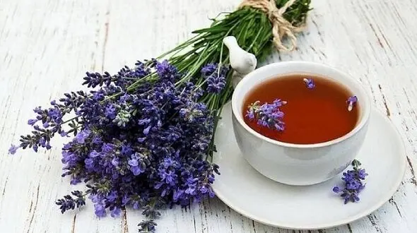 رفع اضطراب با این گیاه خوشرنگ و خوشمزه