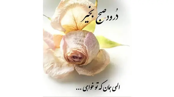 فال ابجد امروز / 28 آذر + فیلم