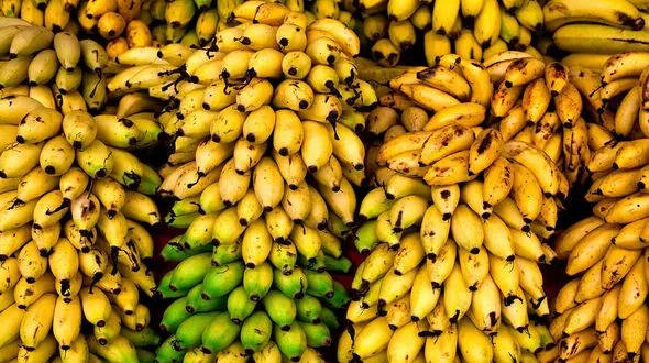 دیابت دارید موز نخورید!