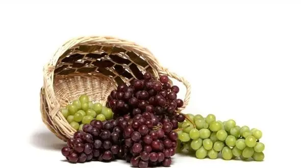  میوه لاغری در وعده صبحانه 