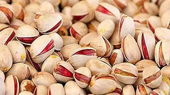 خنده از لبهای پسته ایران رفت