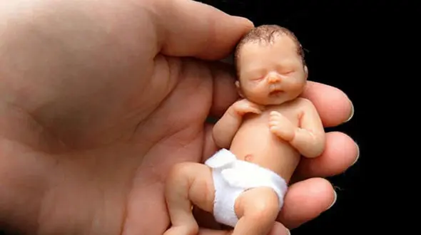 مقررات اهدای تخمک و جنین اعلام شد 