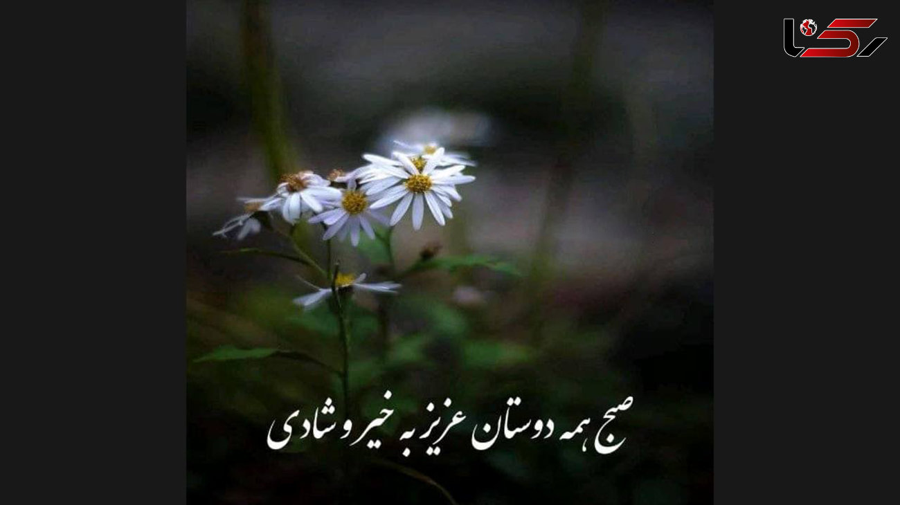 فال ابجد امروز / 21 خرداد ماه + فیلم 