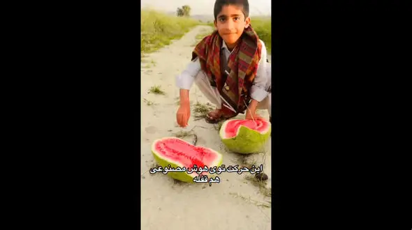فیلم / خلاقیت جالب و عجیب پسر زاهدانی را در برش هندوانه ببینید