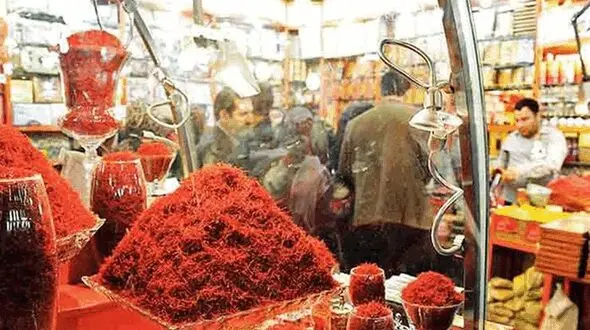 ماجرای دفن زعفران توسط کشاورزان