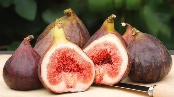 نسخه خانگی برای درمان مشکلات گوارشی