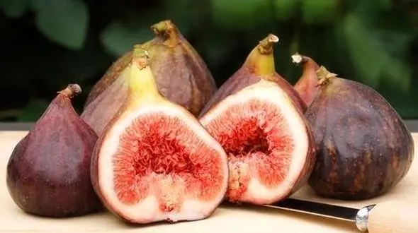 نسخه خانگی برای درمان مشکلات گوارشی