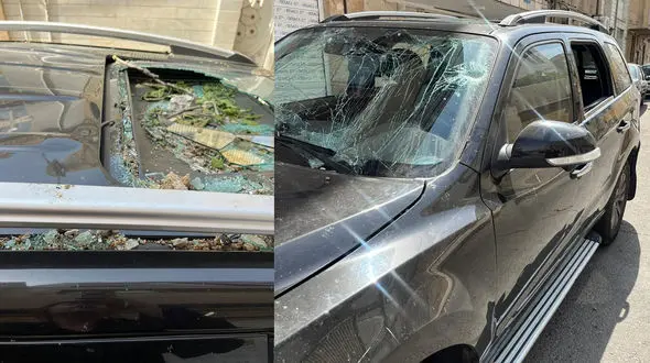 دلارها و طلاهایم را دزدیدند؛ وسایل زندگی ام ویران شد ولی کمکی ندیدم / درخت روی ماشینم افتاد و بیمه برای جبران خسارات 400 میلیون طلب کرد!