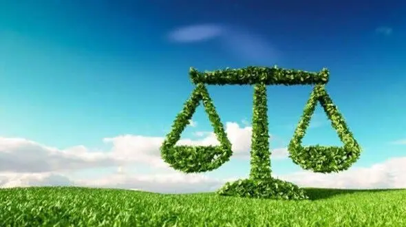 حکم جالب و سبز یک قاضی برای متخلف  زیست محیطی