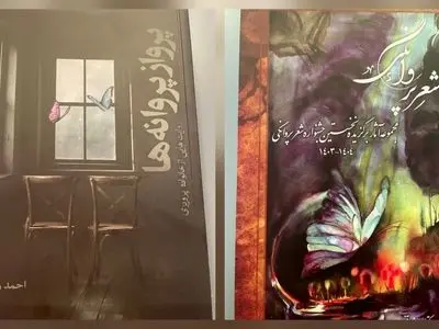 معرفی کتاب / کتاب مجموعه شعر پروانگی و کتاب پرواز پروانه ها