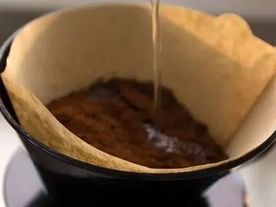 چگونه با فیلتر قهوه ریشه گیاهان خود را تقویت کنیم؟