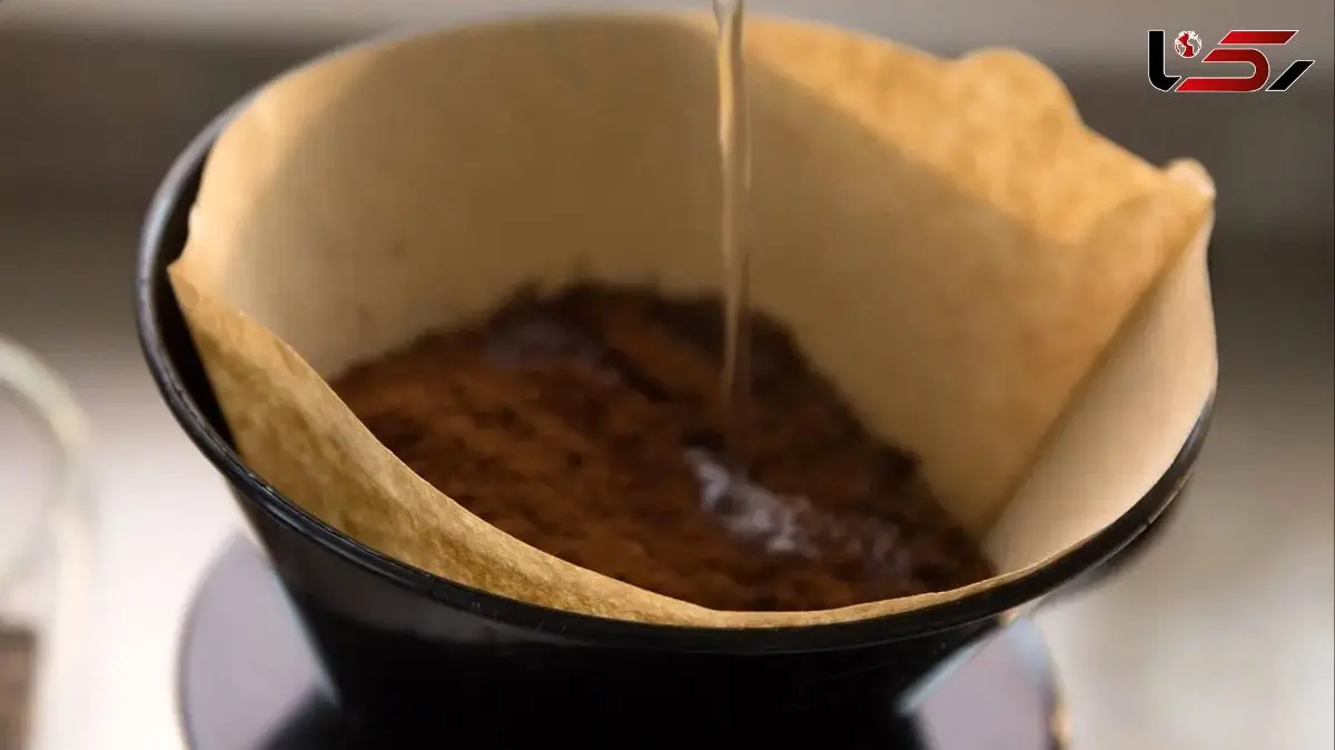 چگونه با فیلتر قهوه ریشه گیاهان خود را تقویت کنیم؟