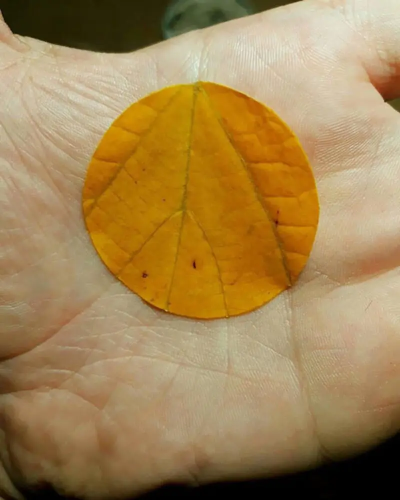 گوناگون