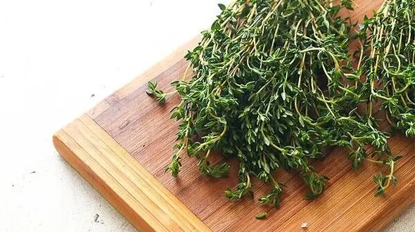 آشنایی با گیاهی که دشمن فشار و چربی خون است