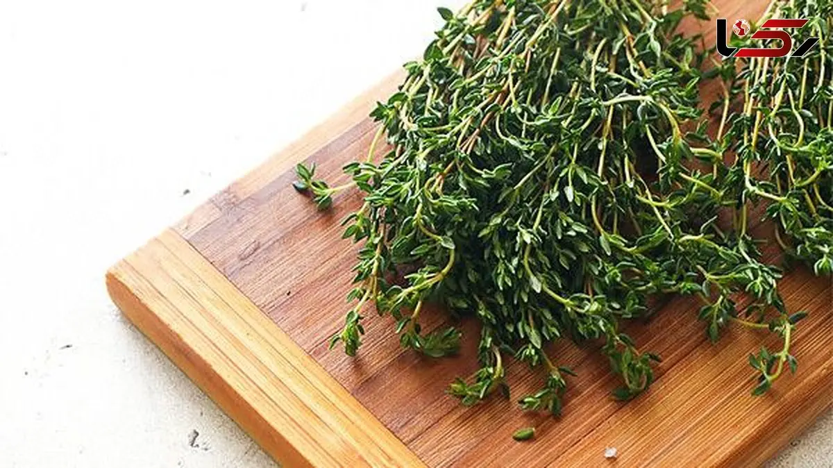 آشنایی با گیاهی که دشمن فشار و چربی خون است
