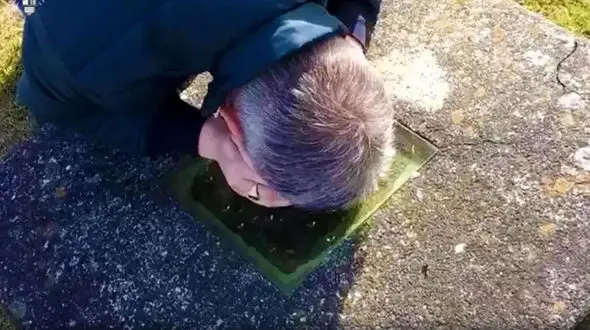 در این قبرستان جنازه ها را می بینید / قبرهای شیشه ای در اندونزی !