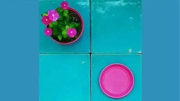 فال ابجد امروز / 24 آذر ماه + فیلم 