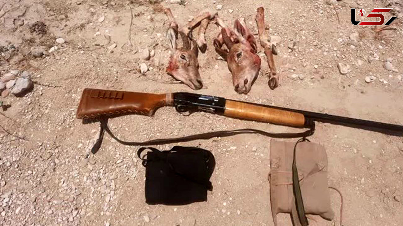 شکارچی غیر مجاز در شهرستان لامرد به دام افتاد