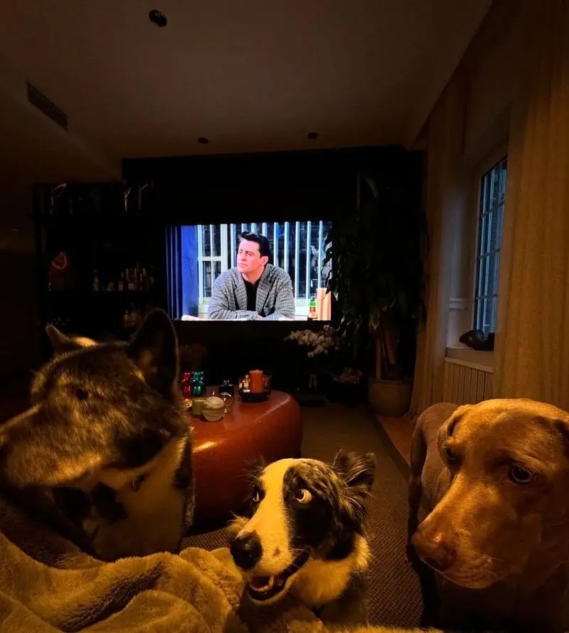 منزل هانده ارچل