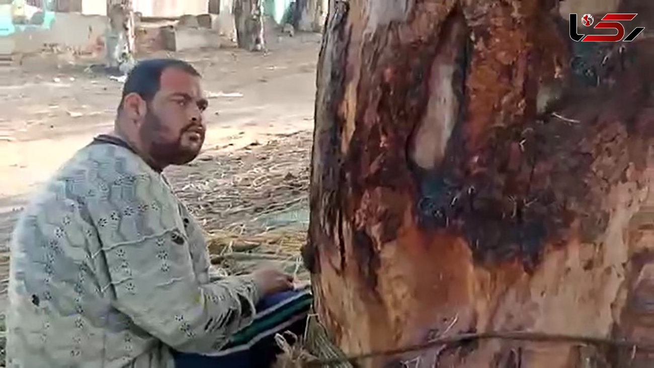 مادر بی رحم پسرش را 15 سال به یک درخت بست ! / وزارت کشور بیانیه داد + عکس / مصر