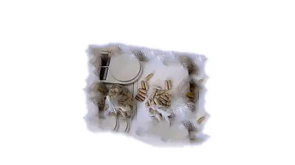 معده این زن و پسر نوجوان بوی هروئین می داد !  