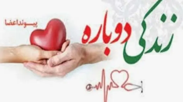 معین عباسی سی و یکمین ایثار ماندگار گیلان را رقم زد