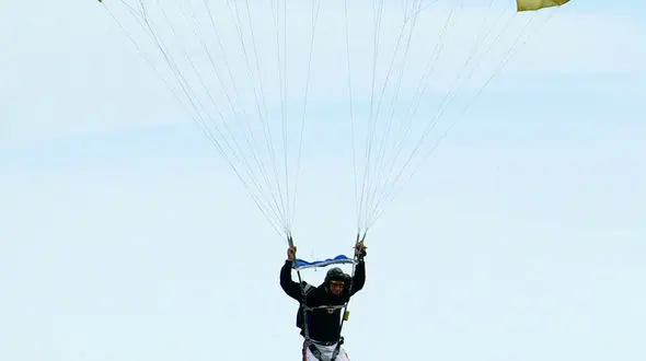 از خطرات خودرو های برقی تا درگیری سگ و انسان در آسانسور