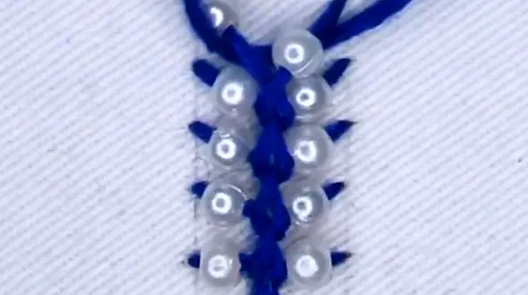 چند مدل مروارید دوزی روی لباس / فیلم