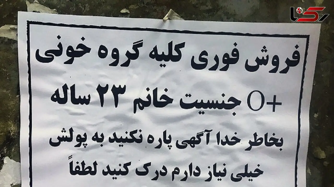 بستن قرارداد صوری اجاره مسکن برای فروش کلیه به قیمت بالاتر 