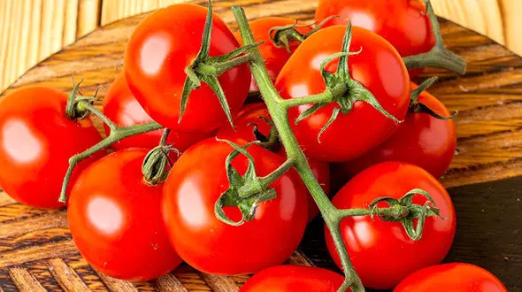 خسته نباشید؛ حالا که گوجه به کیلویی 40 هزار تومان رسید! / صادرات پیاز و گوجه فرنگی به زودی ممنوع می شود