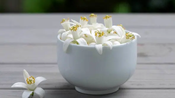 بی ضررترین قرص آرامبخش را بشناسید