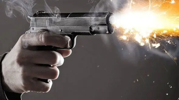 شلیک پلیس سارقان را در ورودی بجنورد متوقف کرد +جزییات