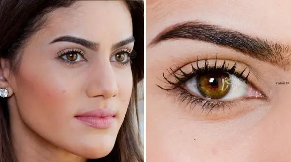 ابروهایتان را با گیاهان پرپشت کنید