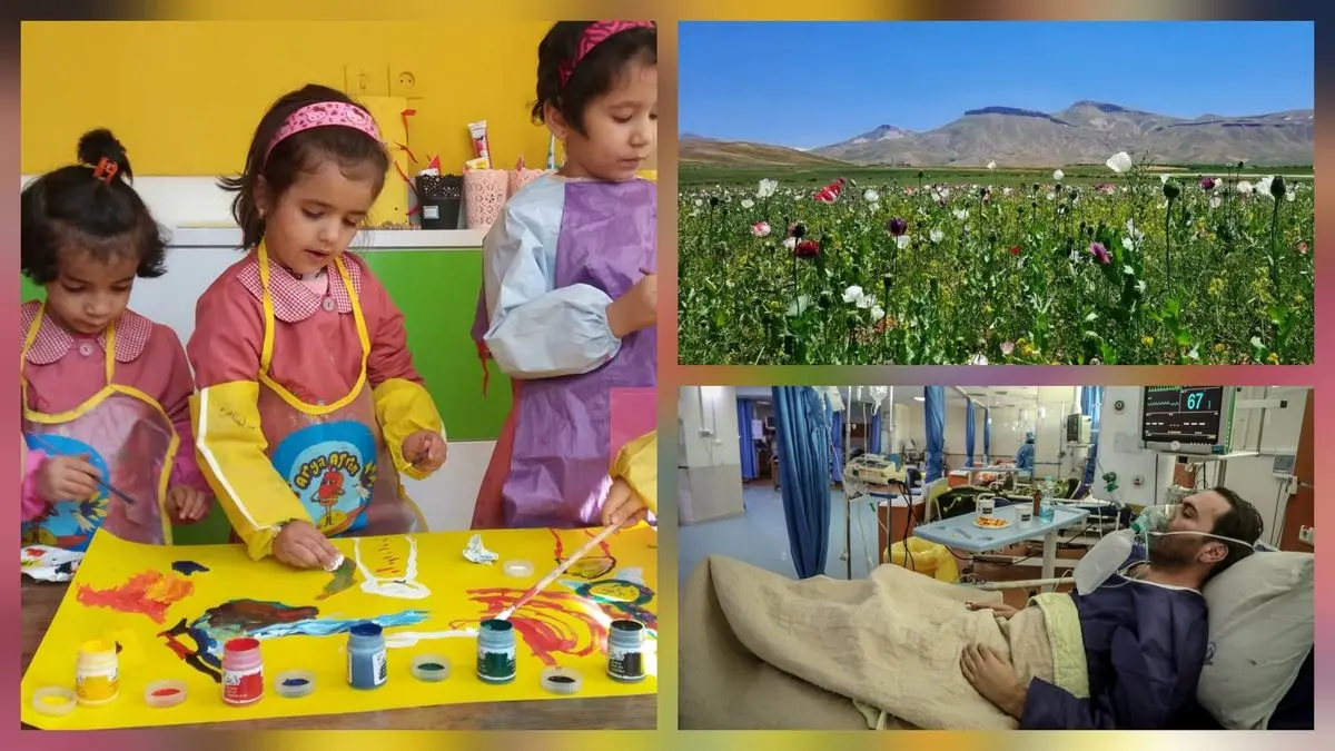 بسته خبری رکنا؛ از فقر درمانی تا کشت خشخاش و شهریه مهدکودک ها و پیش دبستانی ها