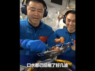 ماجرای بال کبابی در فضا که شما را شگفت‌ زده می‌ کند! / فیلم