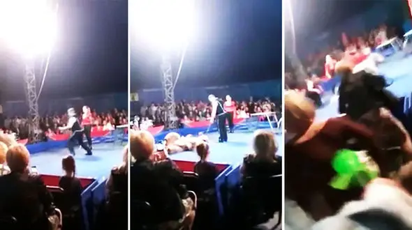 حمله خرس سیرک به تماشاچیان +فیلم