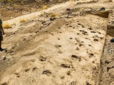 رمزگشایی از ردپاهای ۱٫۴۳ میلیون ساله؛ آیا نیاکان ما غول‌ هایی پنهان بودند؟