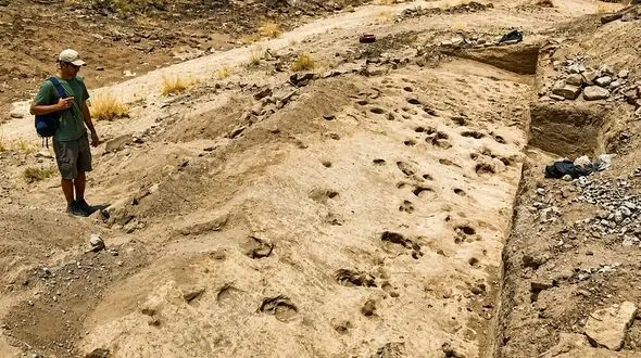 رمزگشایی از ردپاهای ۱٫۴۳ میلیون ساله؛ آیا نیاکان ما غول‌ هایی پنهان بودند؟
