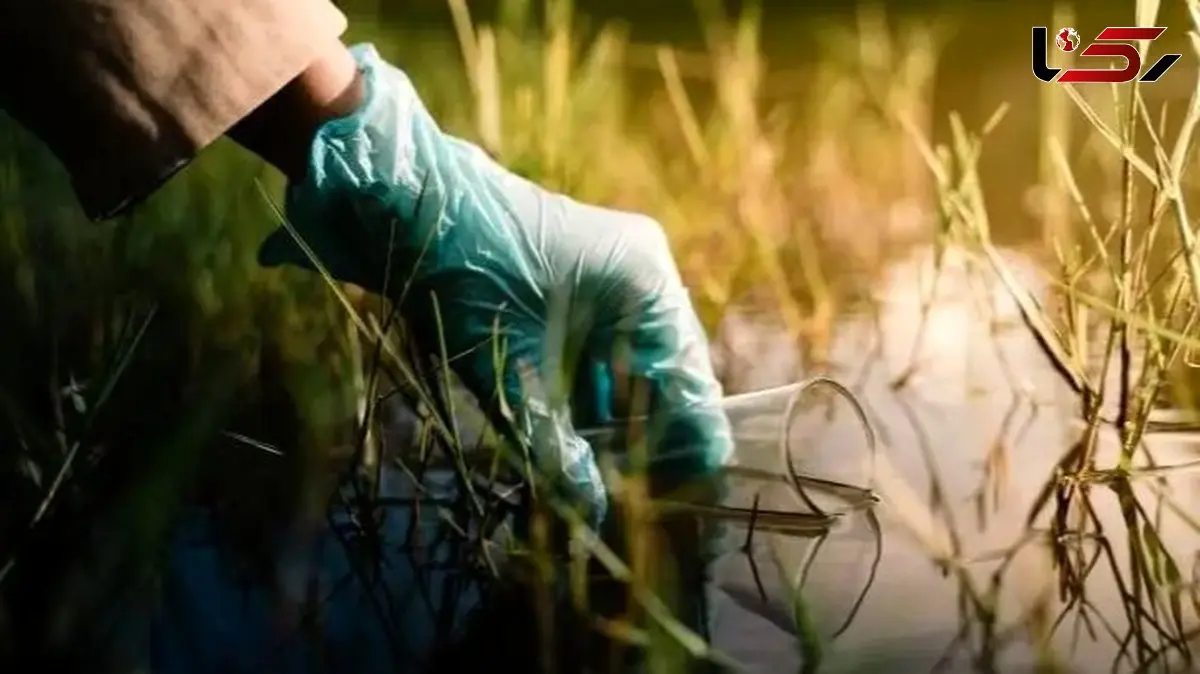 خطر پنهان در رودخانه ها: تجمع آنتی بیوتیک ها