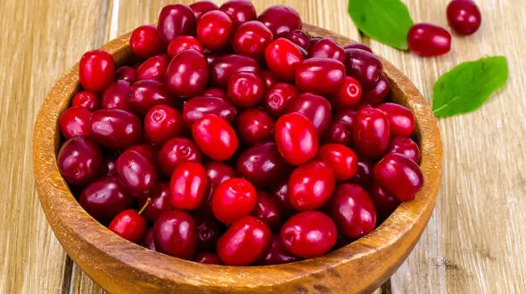زغال اخته داروی خوشمزه برای بیماران قلبی