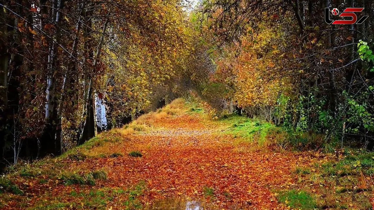 پاییزگردی اطراف تهران؛ روستاهایی که عاشقشان می‌ شوید / عکس