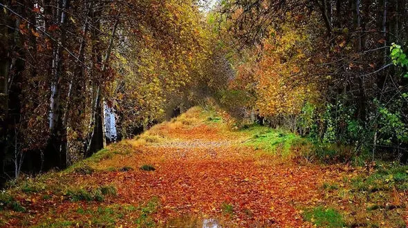 پاییزگردی اطراف تهران؛ روستاهایی که عاشقشان می‌ شوید / عکس