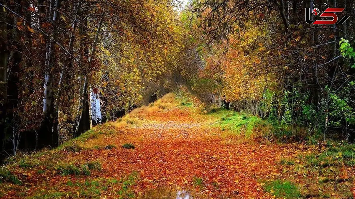 پاییزگردی اطراف تهران؛ روستاهایی که عاشقشان می‌ شوید / عکس