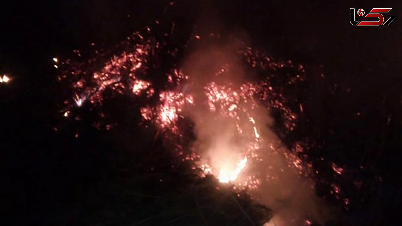 آتش سوزی در کوه بیرمی تنگستان