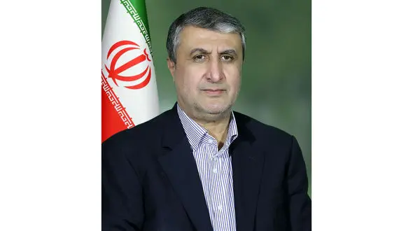 محمد اسلامی با حکم پزشکیان  به ریاست سازمان انرژی اتمی ایران منصوب شد + بیوگرافی محمد اسلامی 