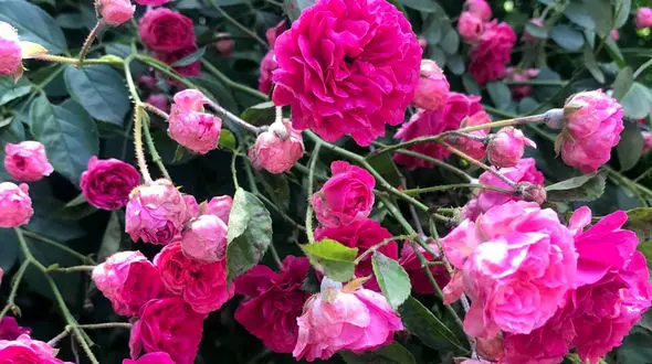 فال ابجد امروز 28 شهریور