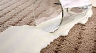 برای پاک کردن لکه و بوی بد شیر از روی قالی باید چه کار کرد؟