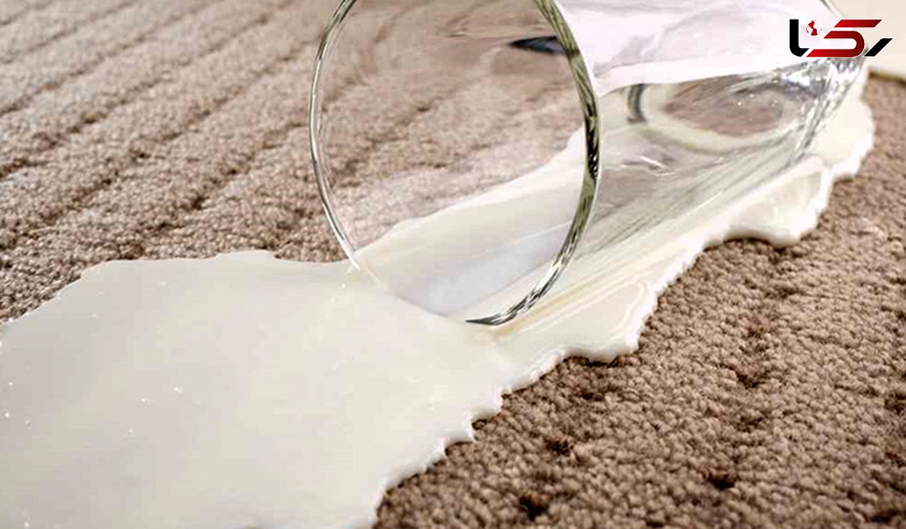 برای پاک کردن لکه و بوی بد شیر از روی قالی باید چه کار کرد؟