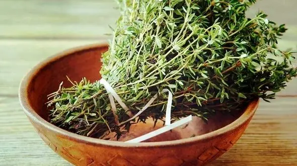 درمان هزار و یک بیماری با دمنوش آویشن